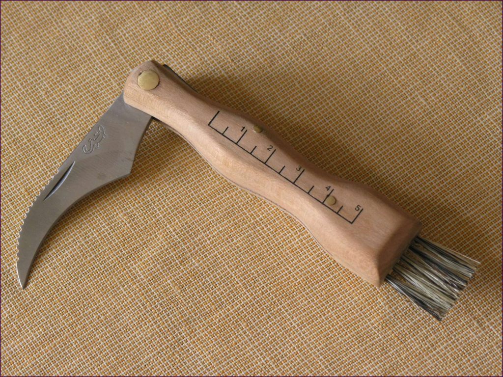 Couteau à champignons avec brosse intégrée