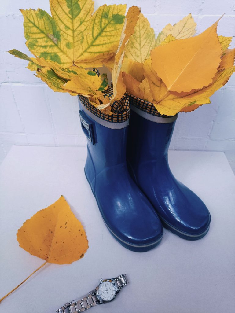 Paire de bottes bleues avec des feuilles d'arbres
